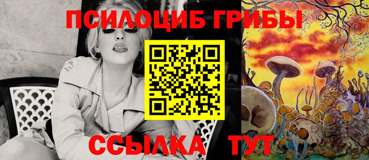 Псилоцибиновые грибы Psilocybine cubensis Ачинск